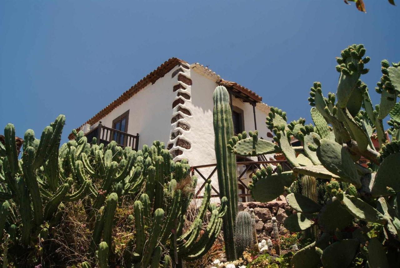 Casa Rural El Olivar La Almazara Santa Lucia De Tirajana Exterior photo